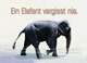 R16 Elefant: postkarte